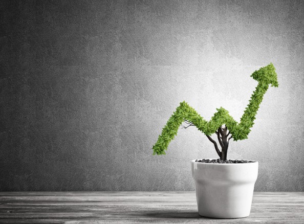 Simon Says Web Design